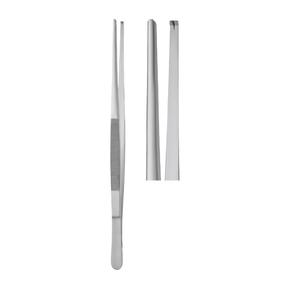 tissue-forceps-1x2-straight